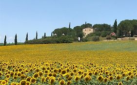 Il vecchio seccatoio